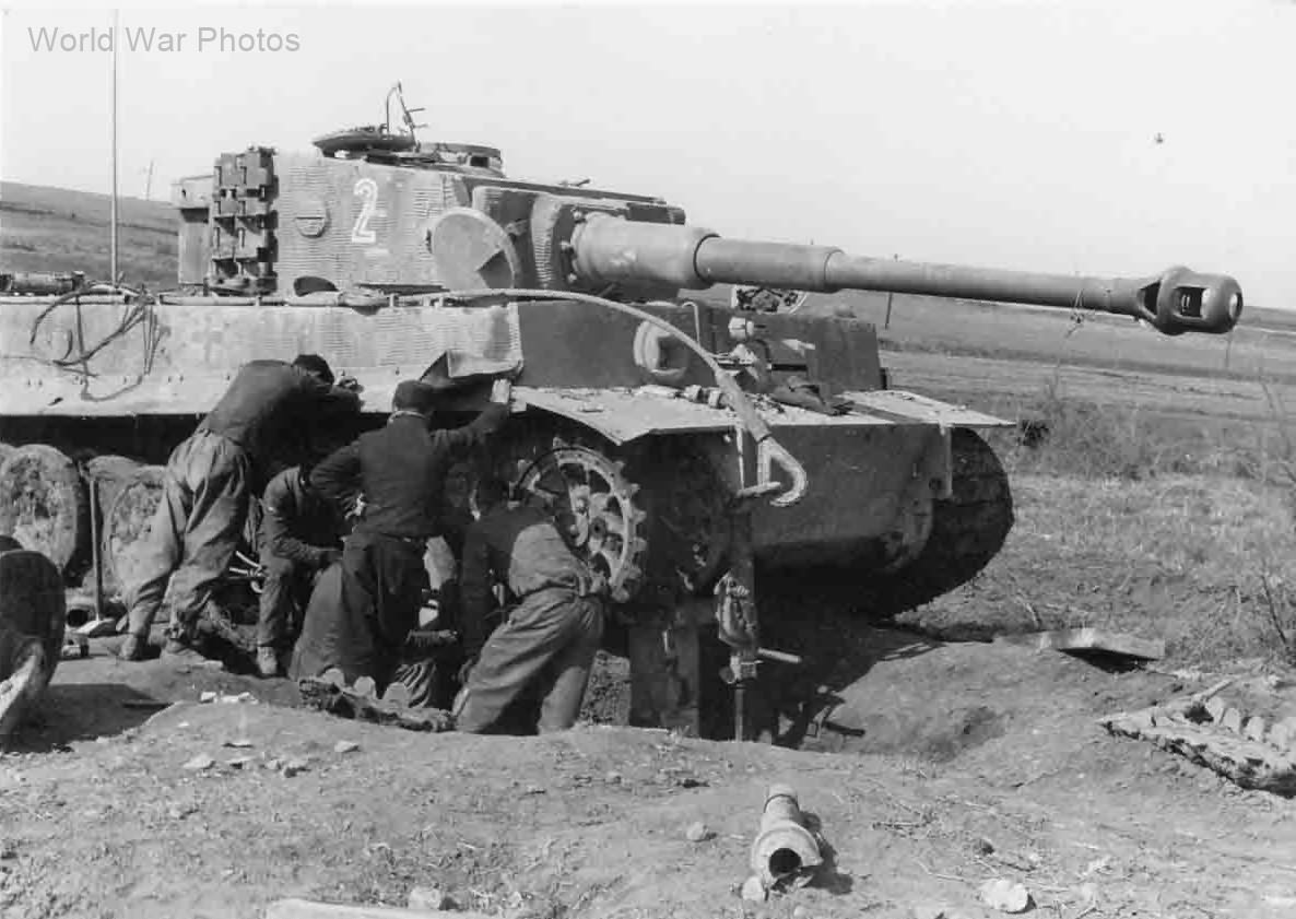 Tiger I tank „2” of 2/schwere Panzerabteilung 508, track change – Anzio Italy 1944