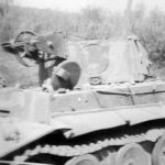 „BergeTiger” of schwere Panzer-Abteilung 508 captured in Italy