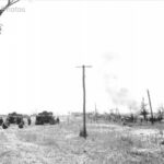 Tigers in action, Bielgorod 5 July 1943