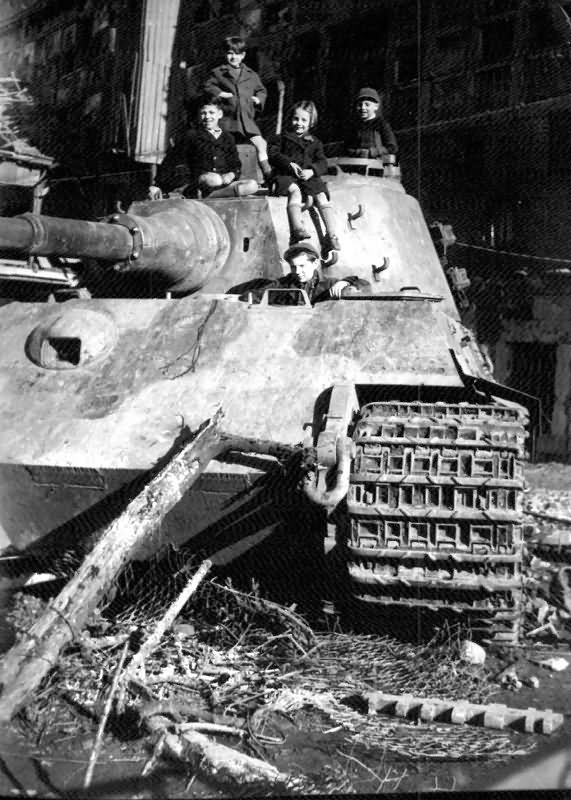 Tiger 2 tank 50