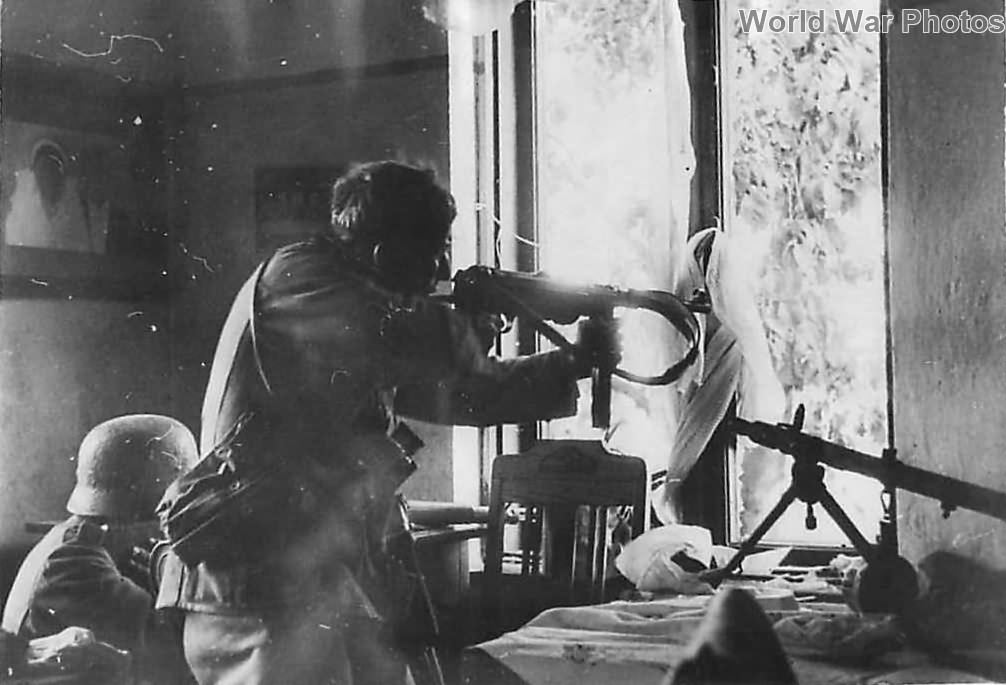 33rd waffen grenadier division of the ss charlemagne 33rd waffen grenadier division of the ss charlemagne