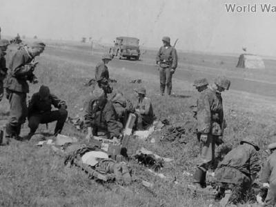 Soldiers of the 5th SS Panzer Division Wiking, Eastern Front