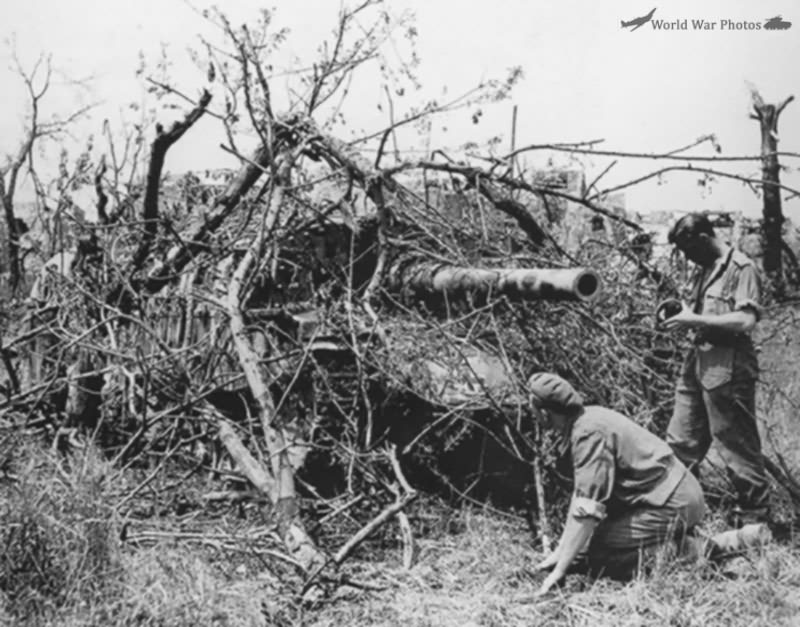 Semovente da 105/25 