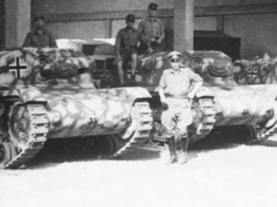 StuGs M42 of Prinz Eugen Division