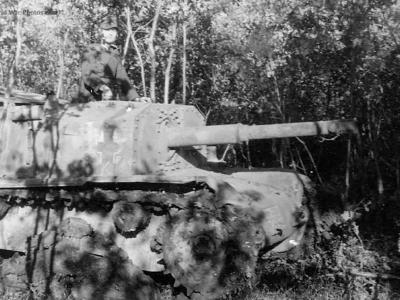 Sturmgeschütz M42 mit 75/34 851 (i) 9