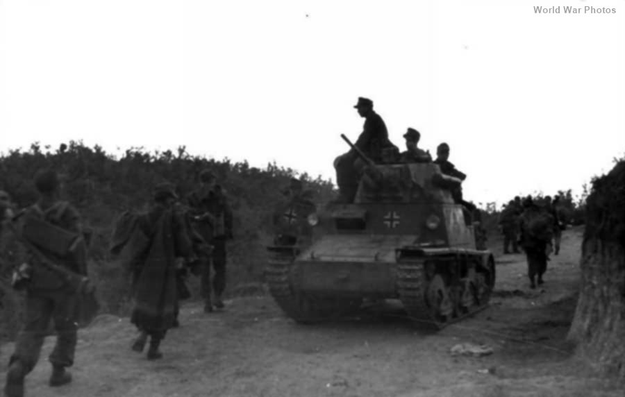 L6/40 Albania September 1943 2