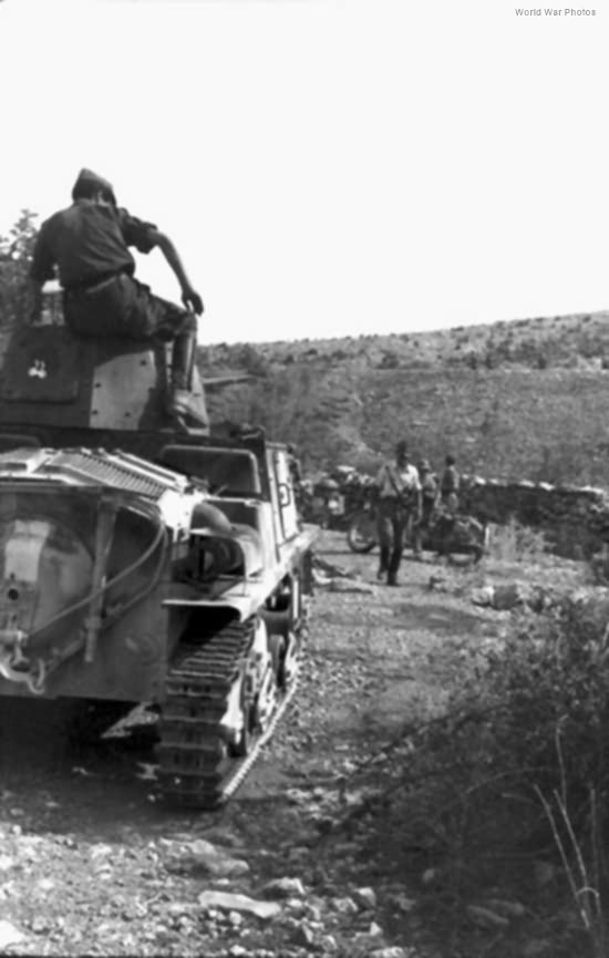 L6/40 Dalmatia 1943 3