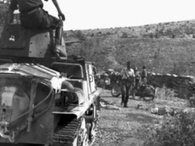L6/40 Dalmatia 1943 3
