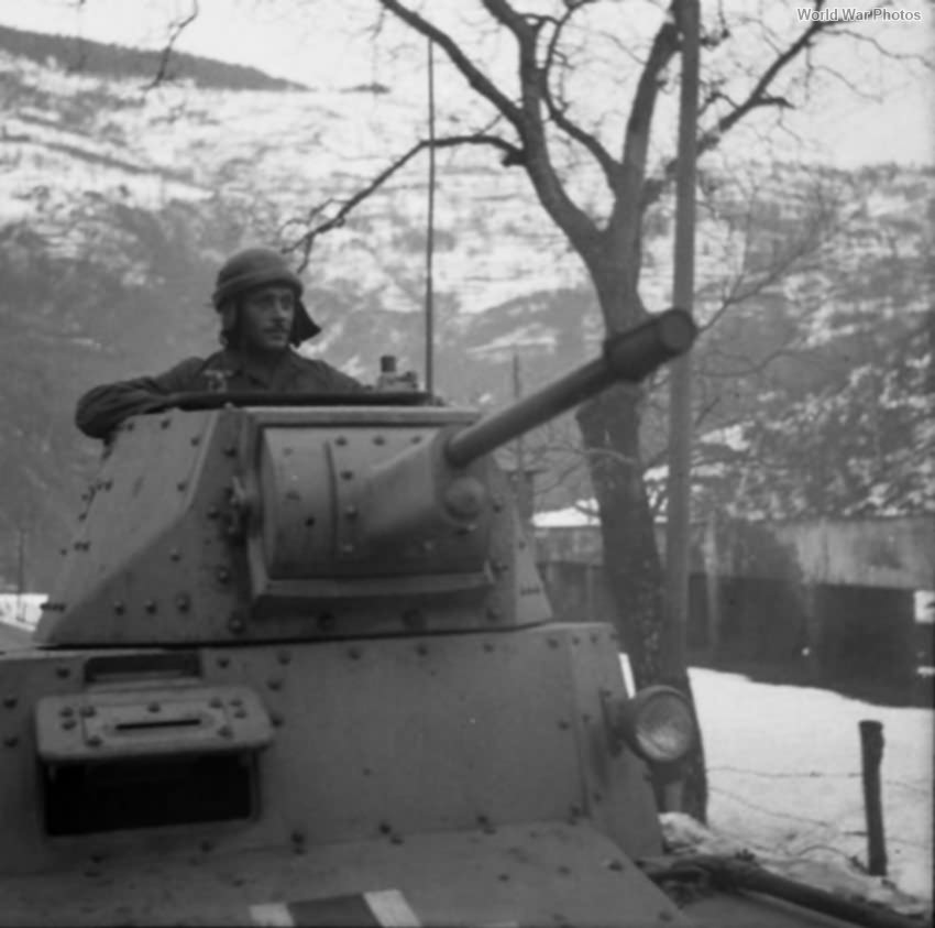 PzKpfw L6 733(i) of the Luftwaffe 2