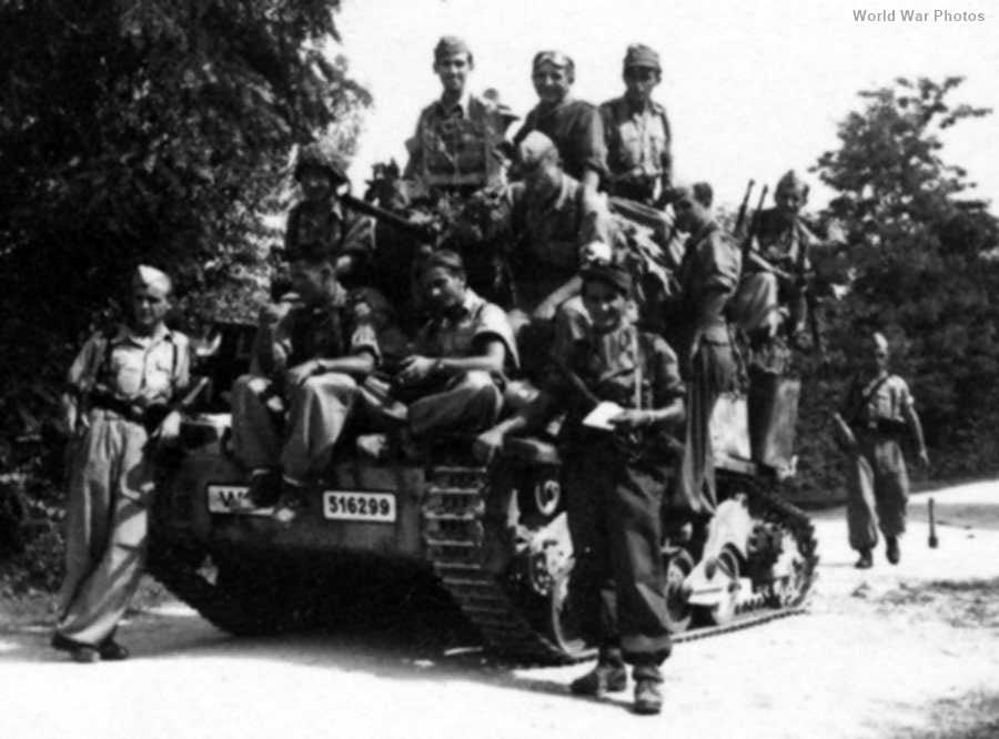 PzKpfw L6 733(i) WL-516299 of Luftwaffe unit