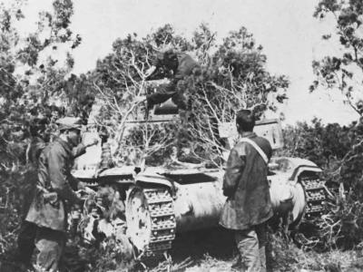 Camouflaged M13/40 1943
