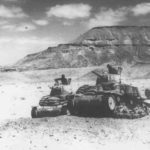 M14 41 Division Littorio 1942