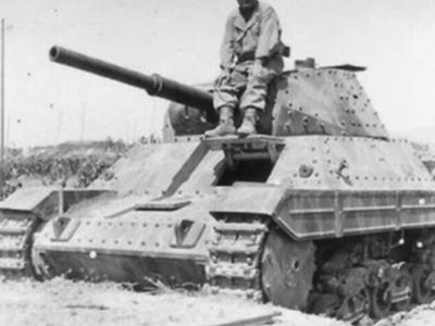 P40 4