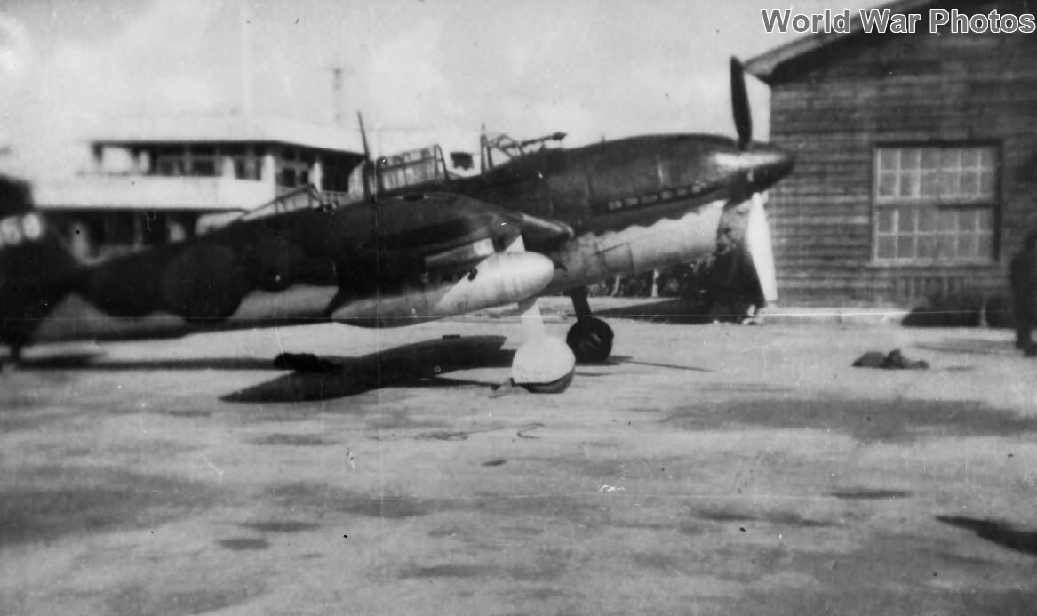 D4Y2 Suisei with drop tanks