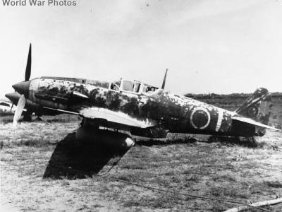 Captured Ki-61 „Tony” of the 19 Sentai, 1945