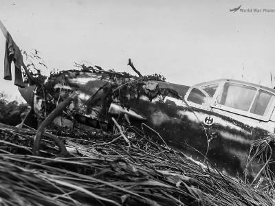 Ki-61 Hien 68th Sentai Cape Gloucester