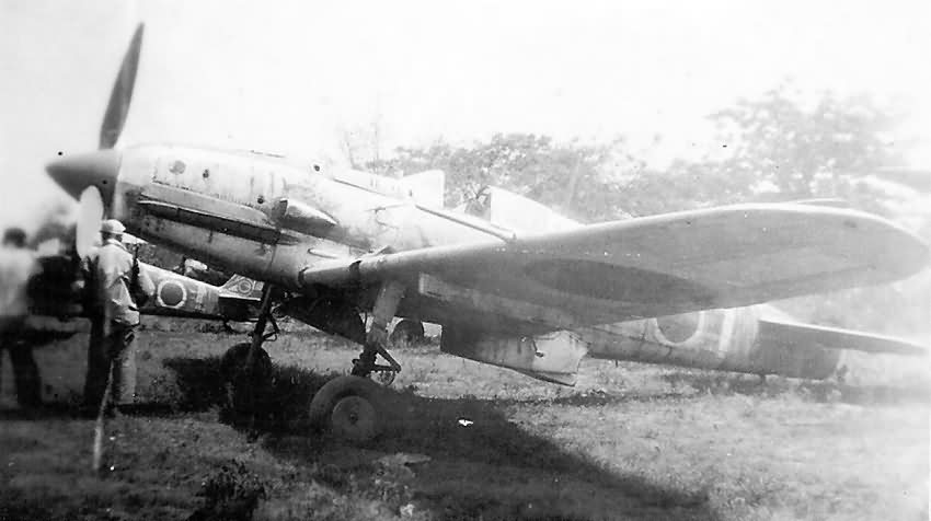 Ki-61 Hien (Tony) of the 19th Sentai Philippines 1945