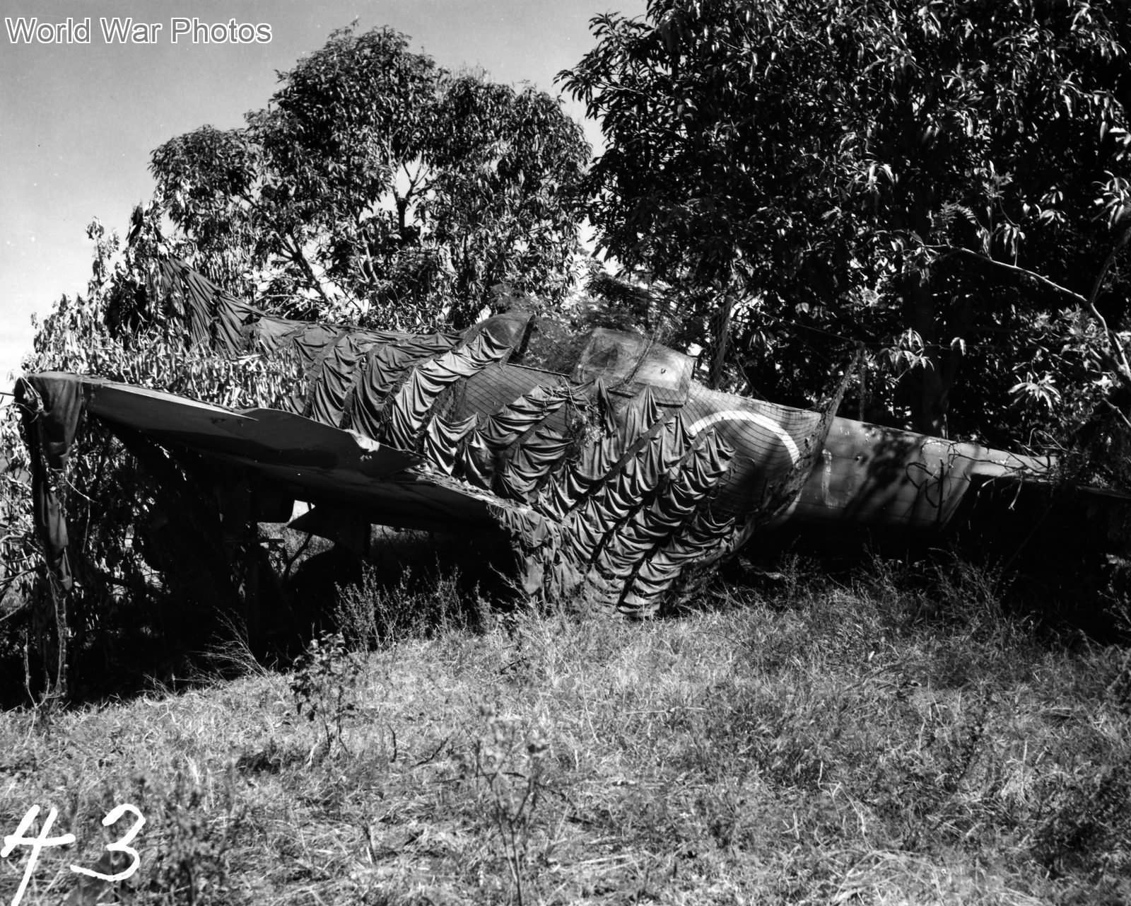 Ki-84 Hayate found by U.S. Forces on Luzon February 45 3