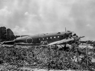 Showa L2D3 731 Saipan June 1944