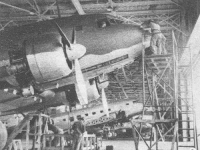 L2D Tabby 1943 4