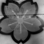 Ohka cherry blossom Insignia Okinawa 1945