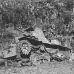 Destroyed Japanese Type 95 Ha Go light tank Ormoc Leyte