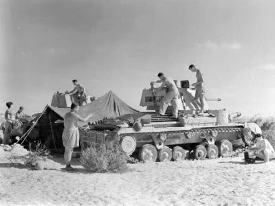 A9 of the 6th Battalion RTR