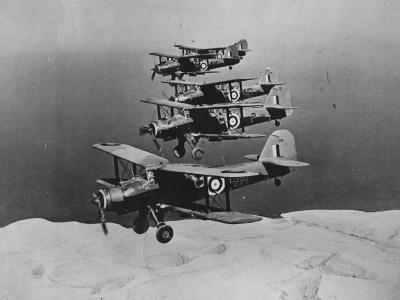 Albacores of 826 Squadron FAA