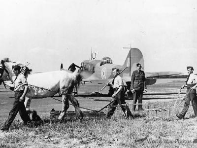 Anson june42