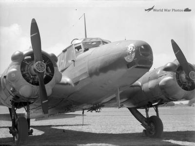 RNZAF Anson D