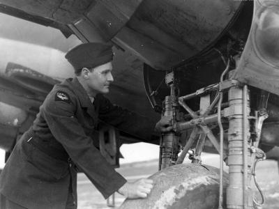 Bristol Beaufighter Mk VIF 406