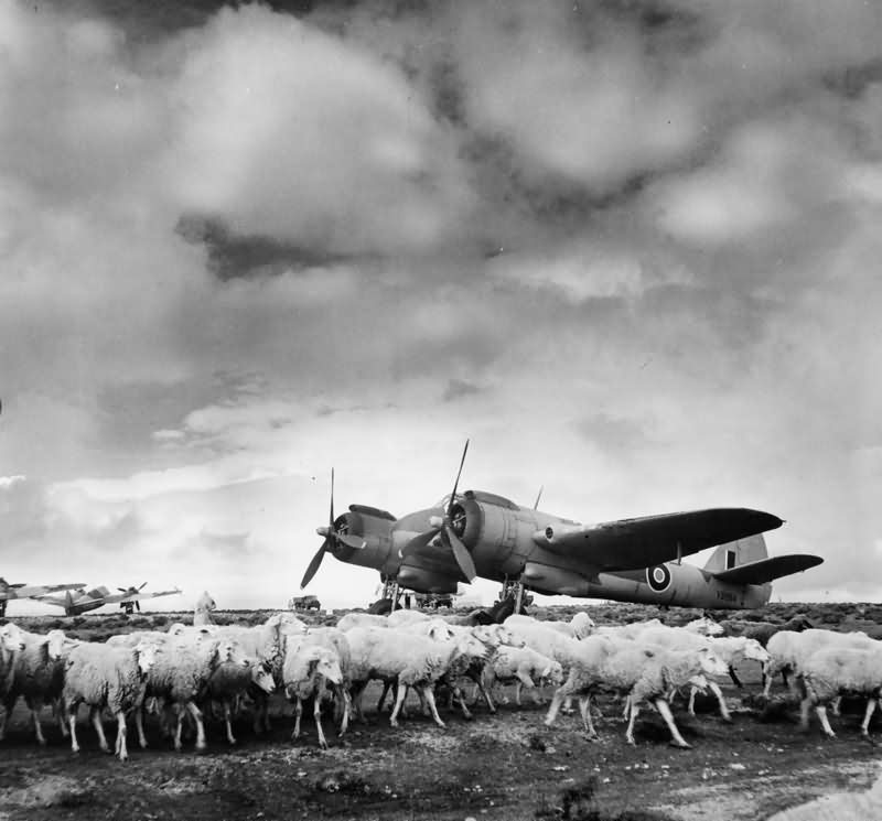 Bristol Beaufighter Mk VI F of No. 153 Squadron