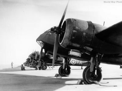 Bristol Blenheim 84 Sqn 1940