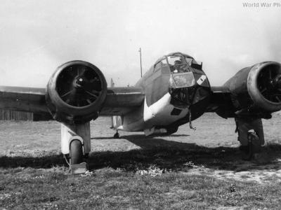 Blenheim IF