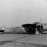 Flamingo E10 2