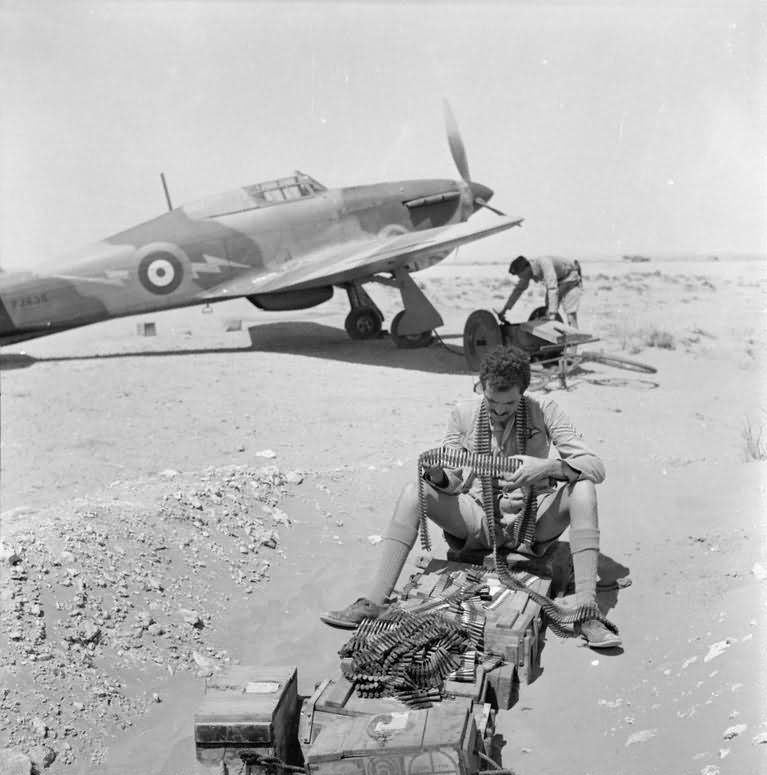 Sgt Dean of No 274 Squadron RAF examines belts of .303 ammunition Sidi Barrani Egypt Hurricane Mk I P2638