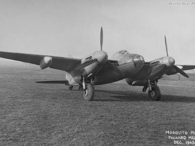 Mosquito Mk 20