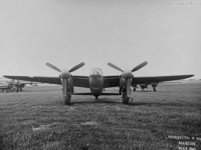 Mosquito Mk 35