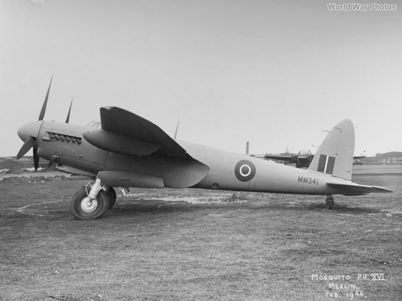 Mosquito PR XVI MM341