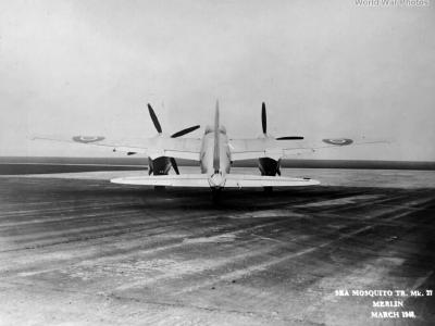 Mosquito TR 37