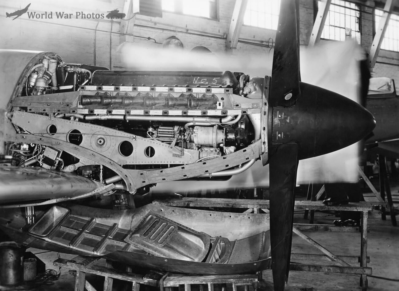 Rolls-Royce Griffon 61 engine