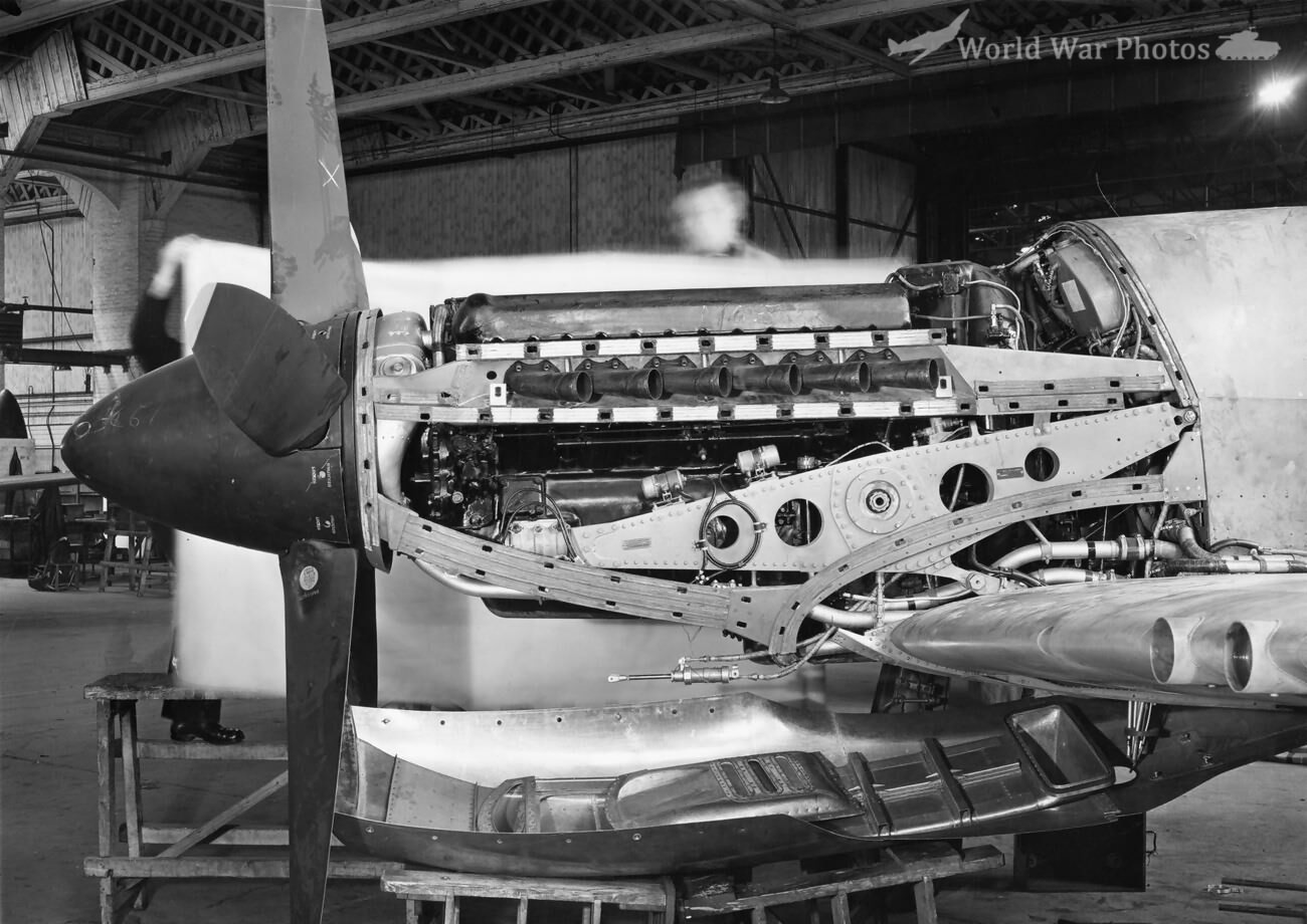 Seafang 31 Griffon 61 engine