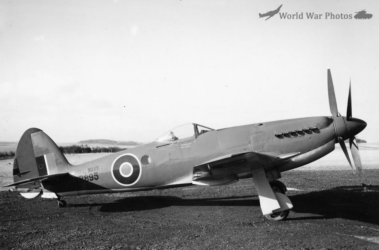 Seafang F Mk 32 VB895