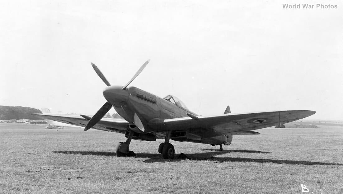 Seafire Mk XV