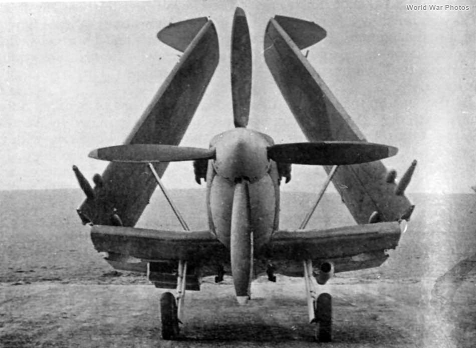 Seafire with folded wings
