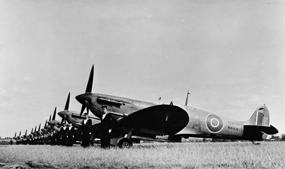 Seafires IIc of No. 807 Sqn FAA at Lee-on-Solent