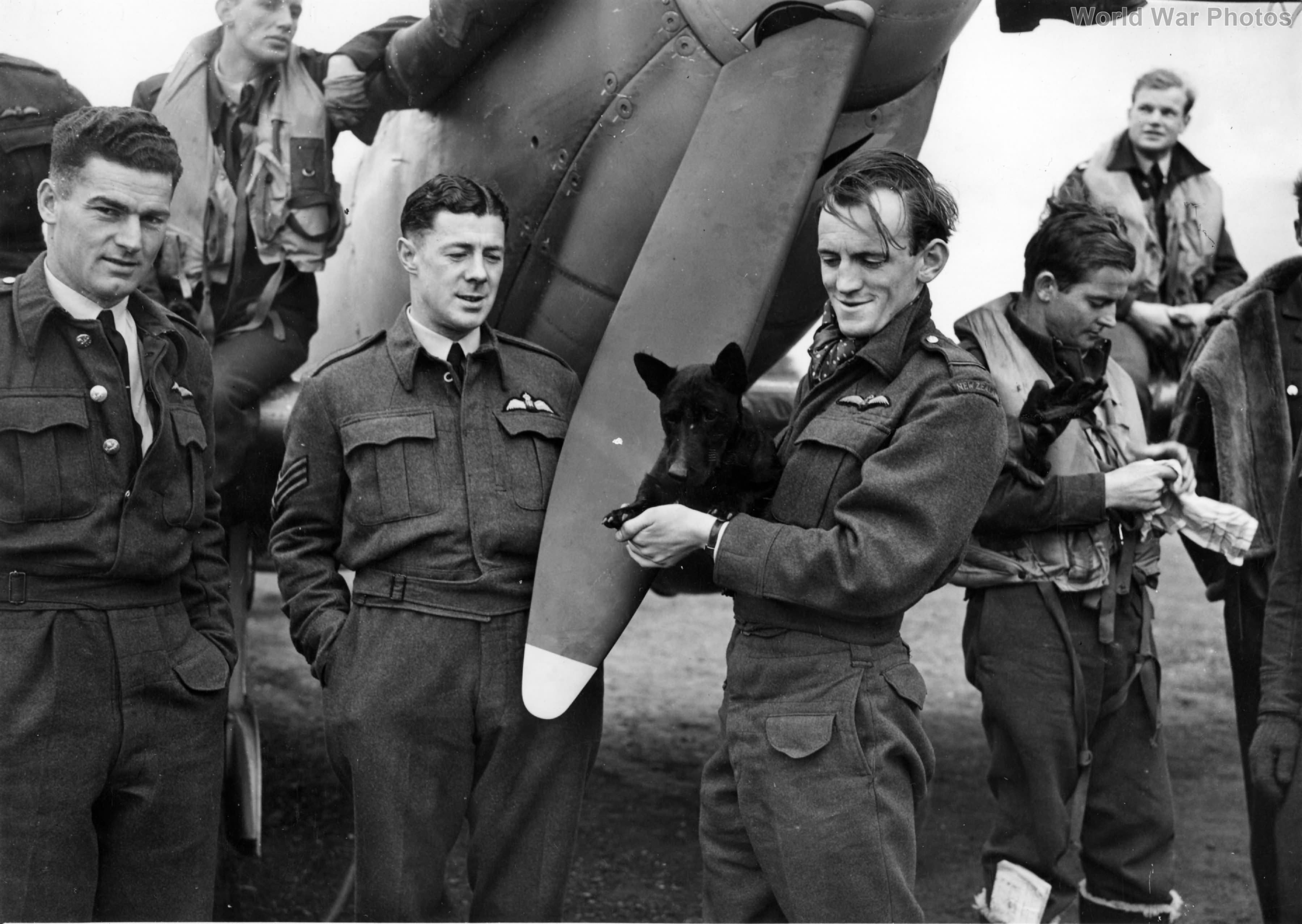 485 Squadron pilots in front of a Spitfire Kenley 1942