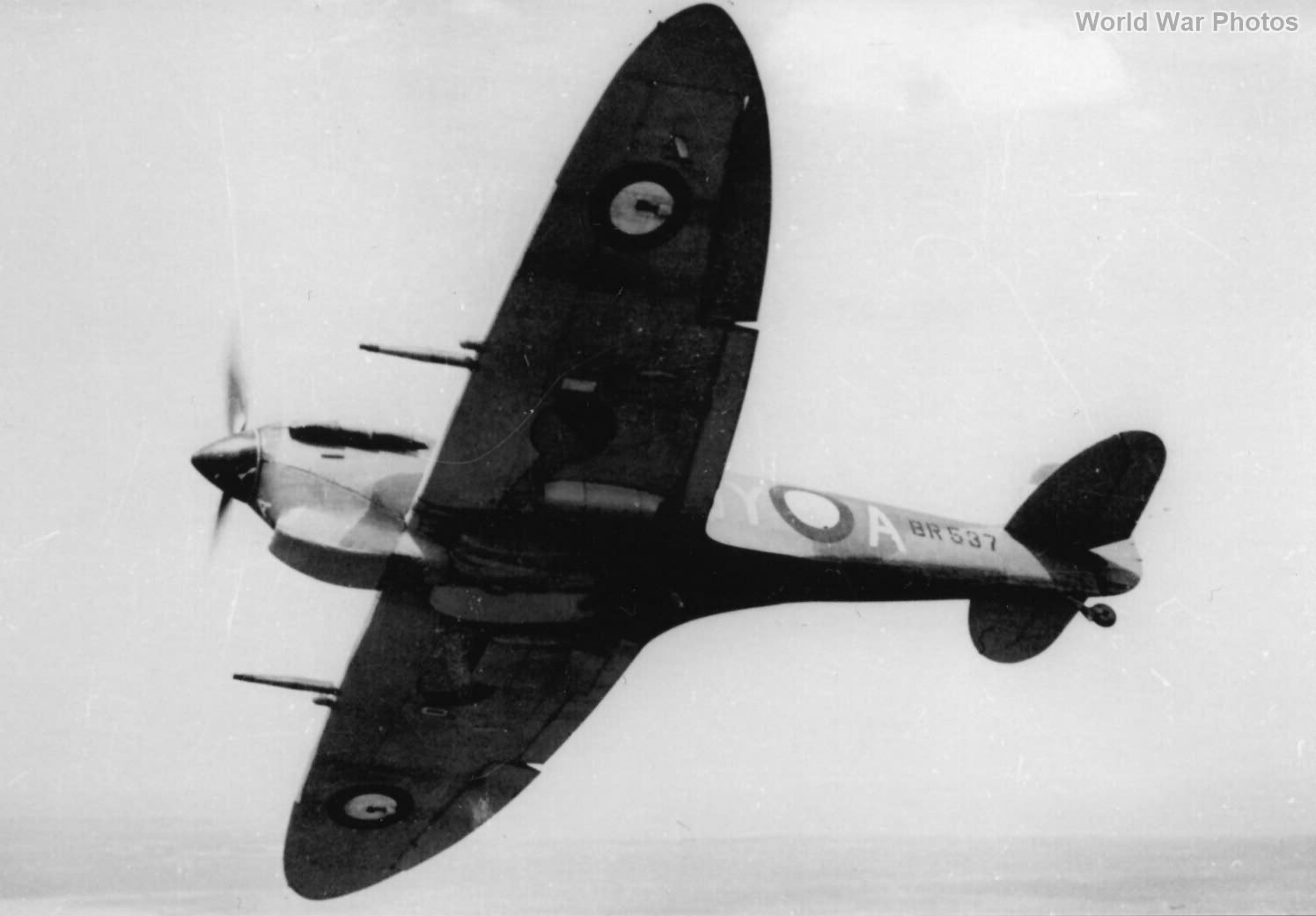 Spitfire VC BR537 in flight