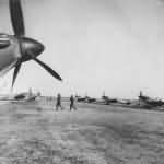 SPITFIRES 145 SQUADRON IN ALGERIA