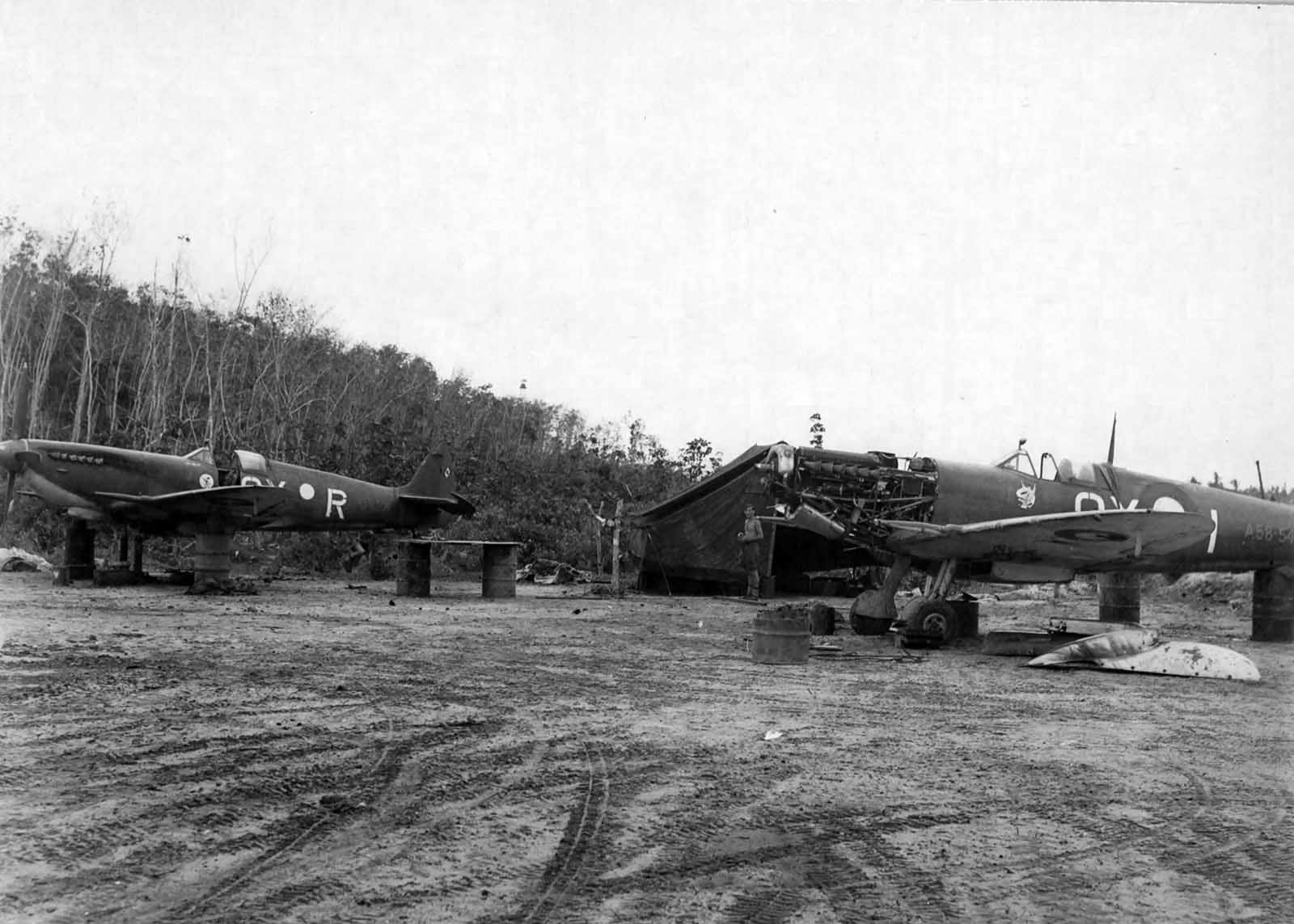 Spitfire LF.VIII A58-504 of Royal Australian Air Forces 452 Squadron – Borneo 1945